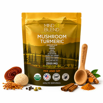 Mushroom Turmeric - Free Trial Pouch