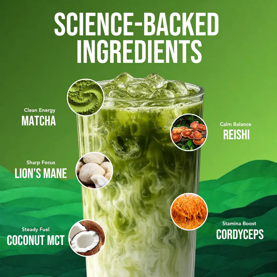Mushroom Matcha Tea 10 Servings