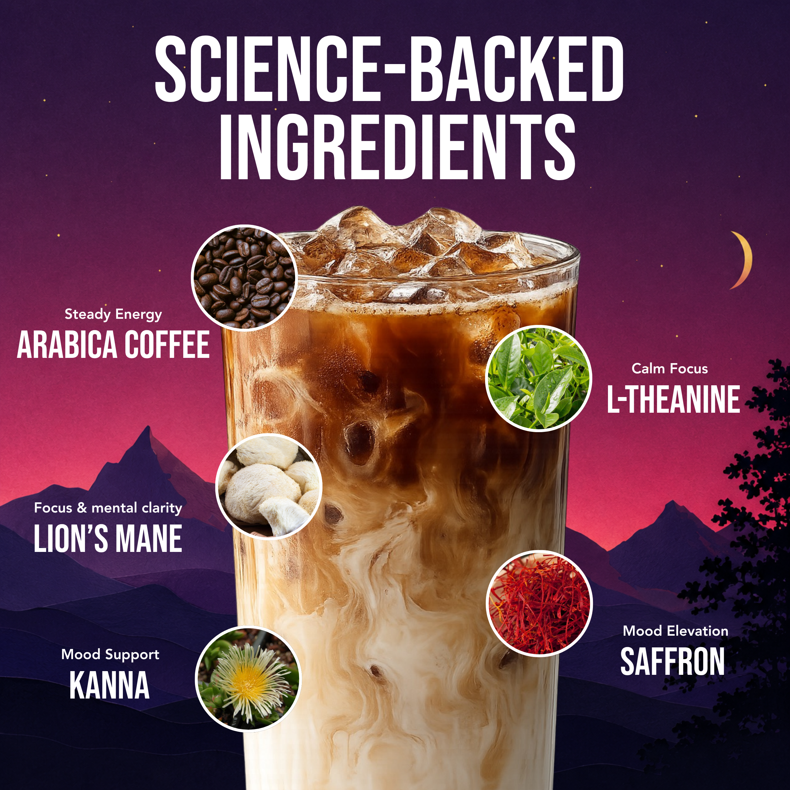 Mushroom Coffee Kanna 10 Servings