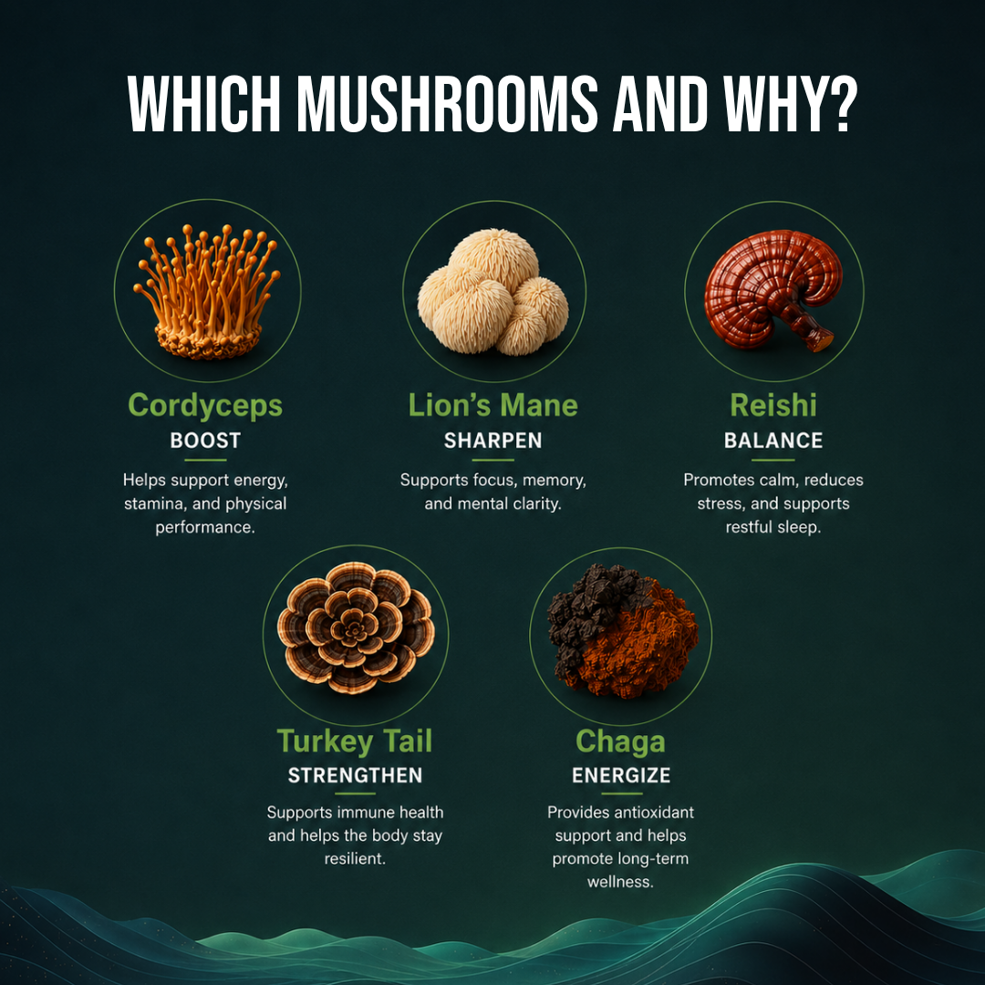 Mushroom Coffee Nootropic 10 Servings