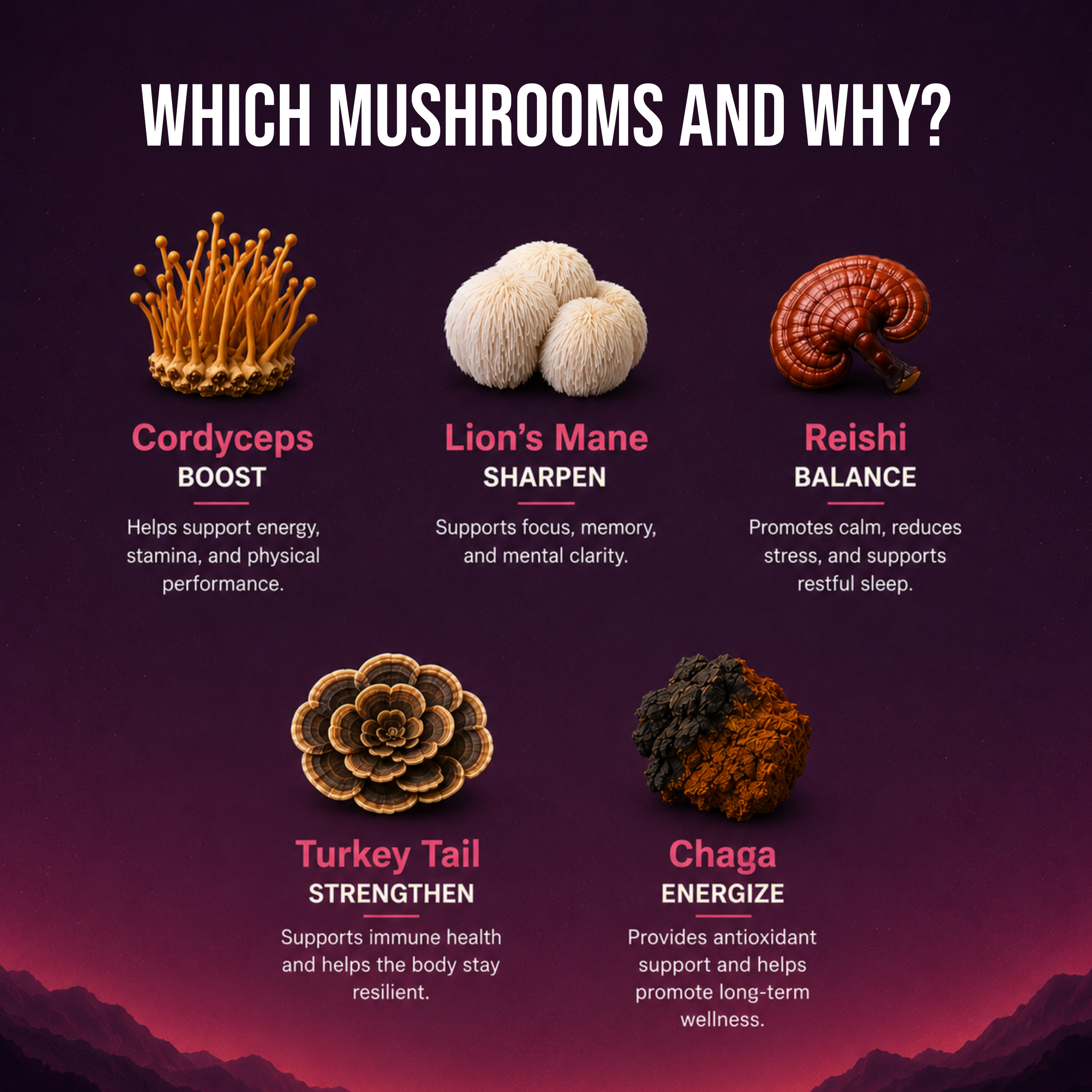 Mushroom Coffee Kanna 10 Servings