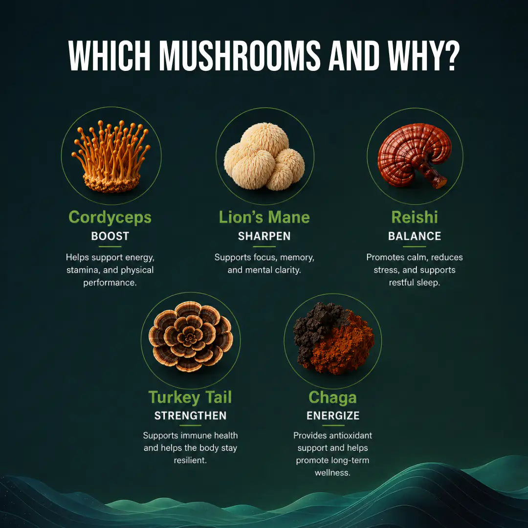 Mushroom Coffee Nootropic 33 Servings