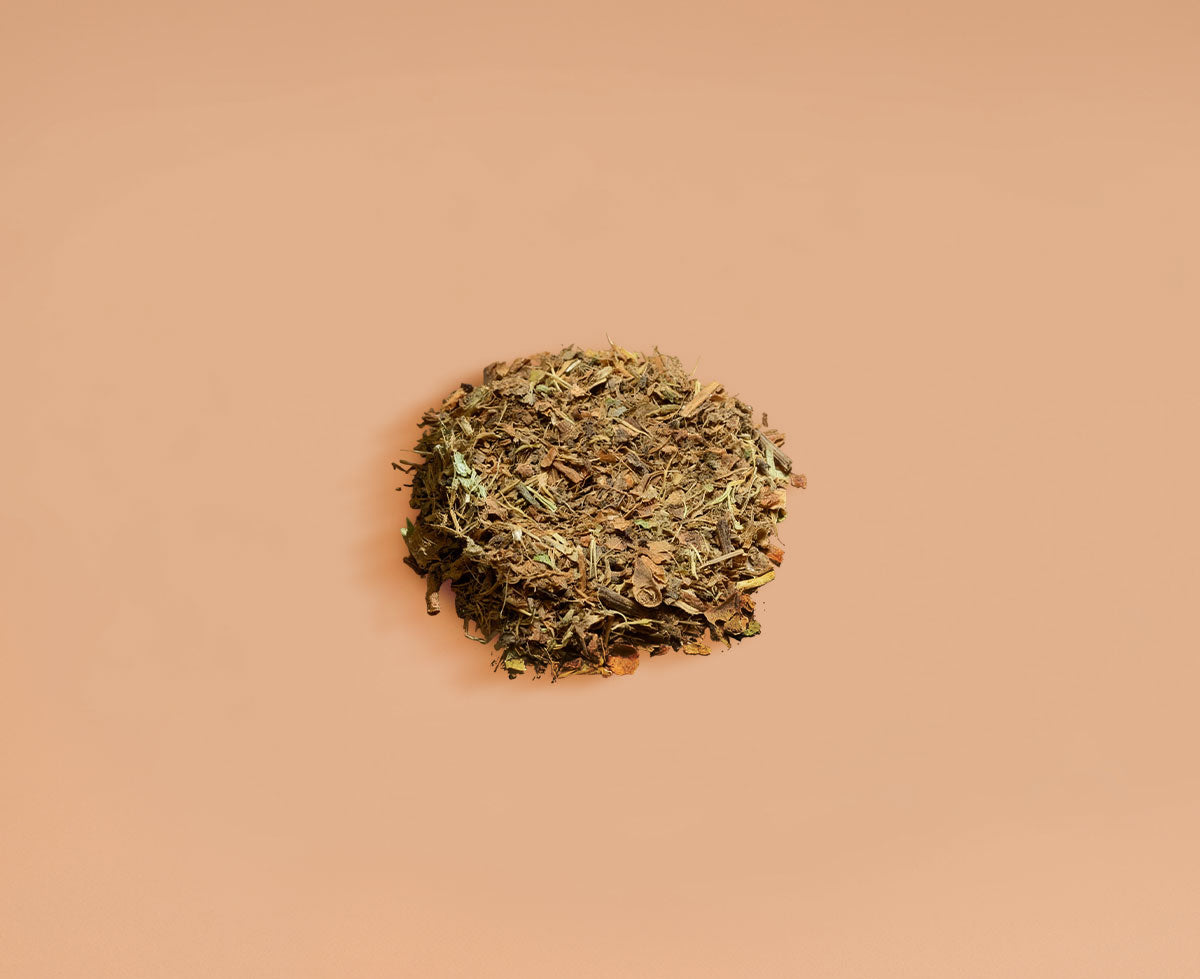Cordyceps Mushroom