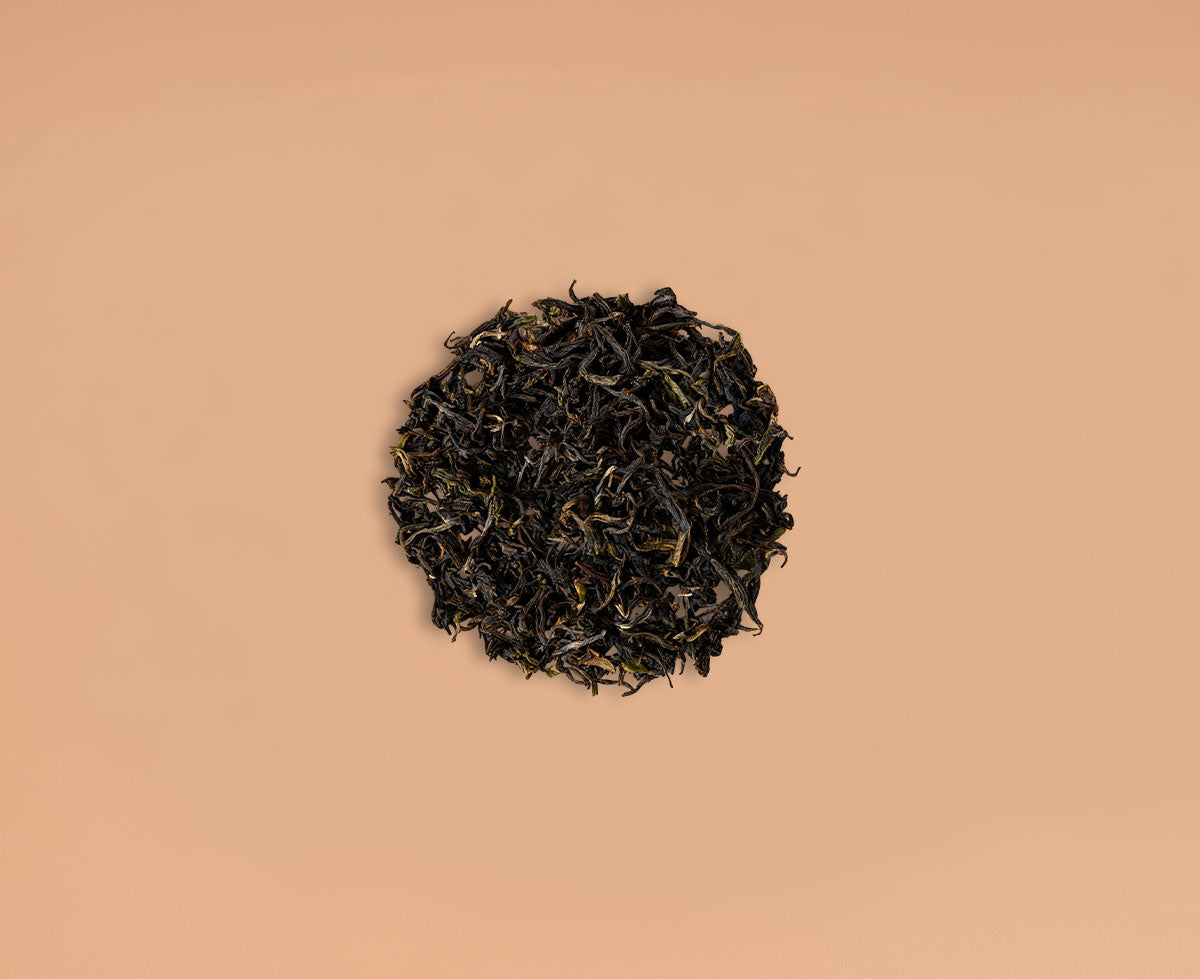 Cordyceps Mushroom