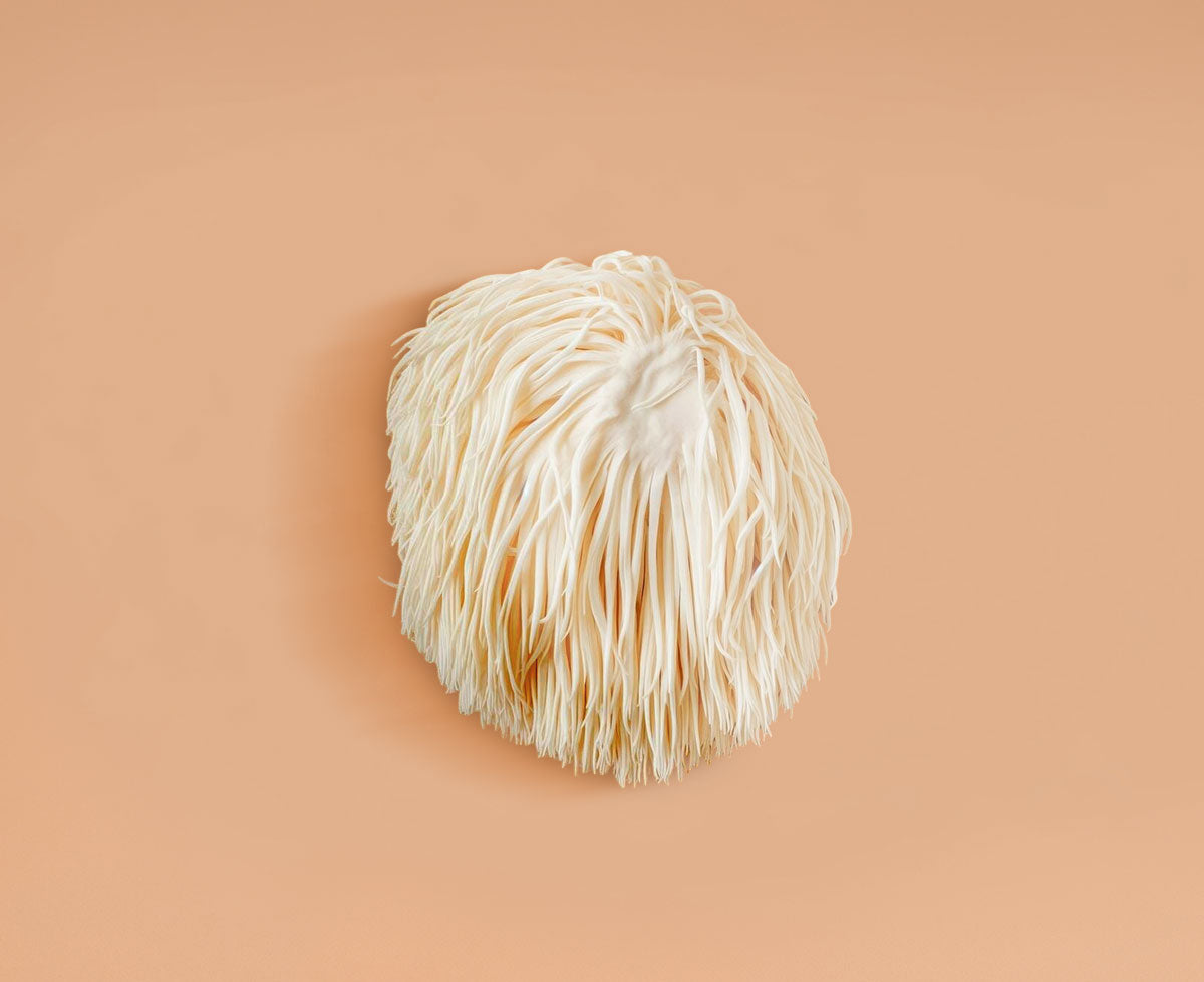 Cordyceps Mushroom