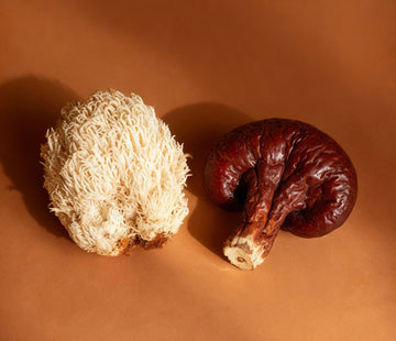 Organic mushroom blend