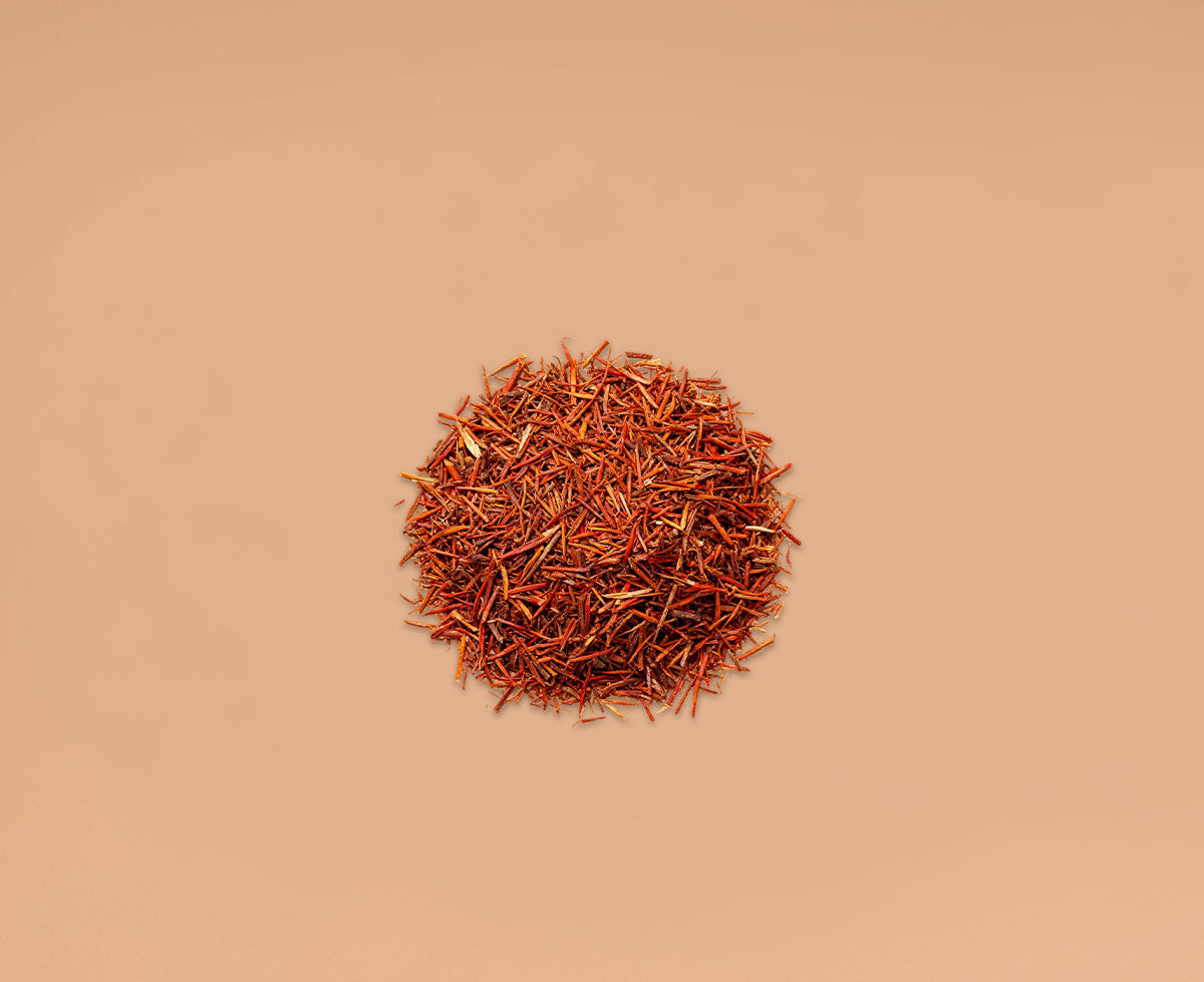 Cordyceps Mushroom